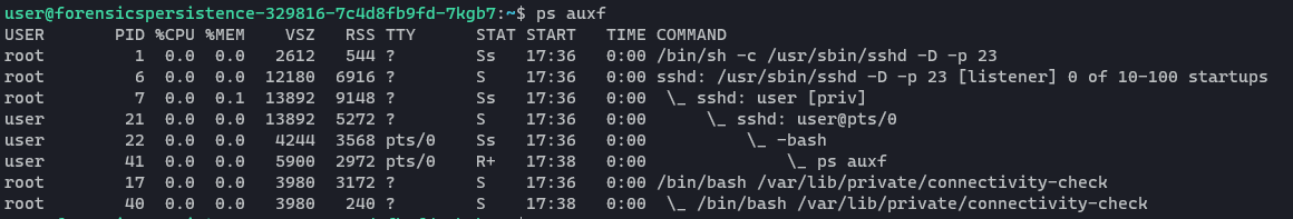 /images/htb/challenges/forensics/persistenceisfutile/ps.png /images/htb/challenges/forensics/persistenceisfutile/ps.png